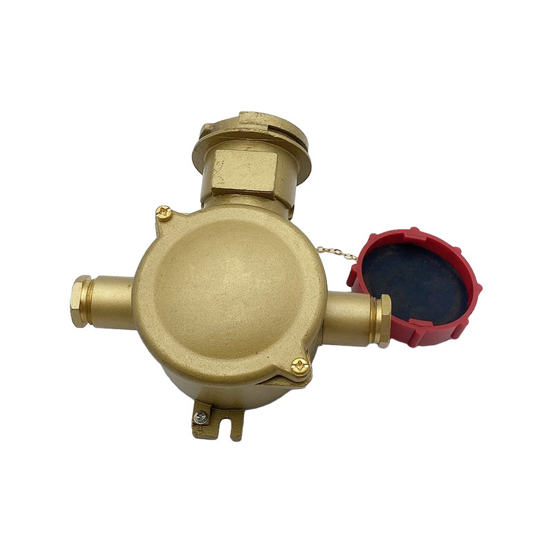 Soket Elektrik Loyang Dengan Suis Interlock-CZS3-2 1I4