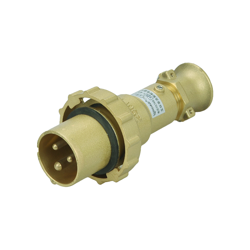 Palam loyang Warine 32a、soket、soket dengan suis CTS2-2-14